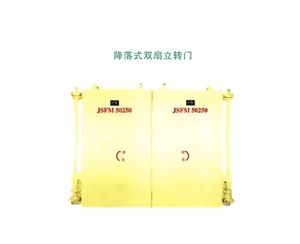 青海降落式双扇立转门